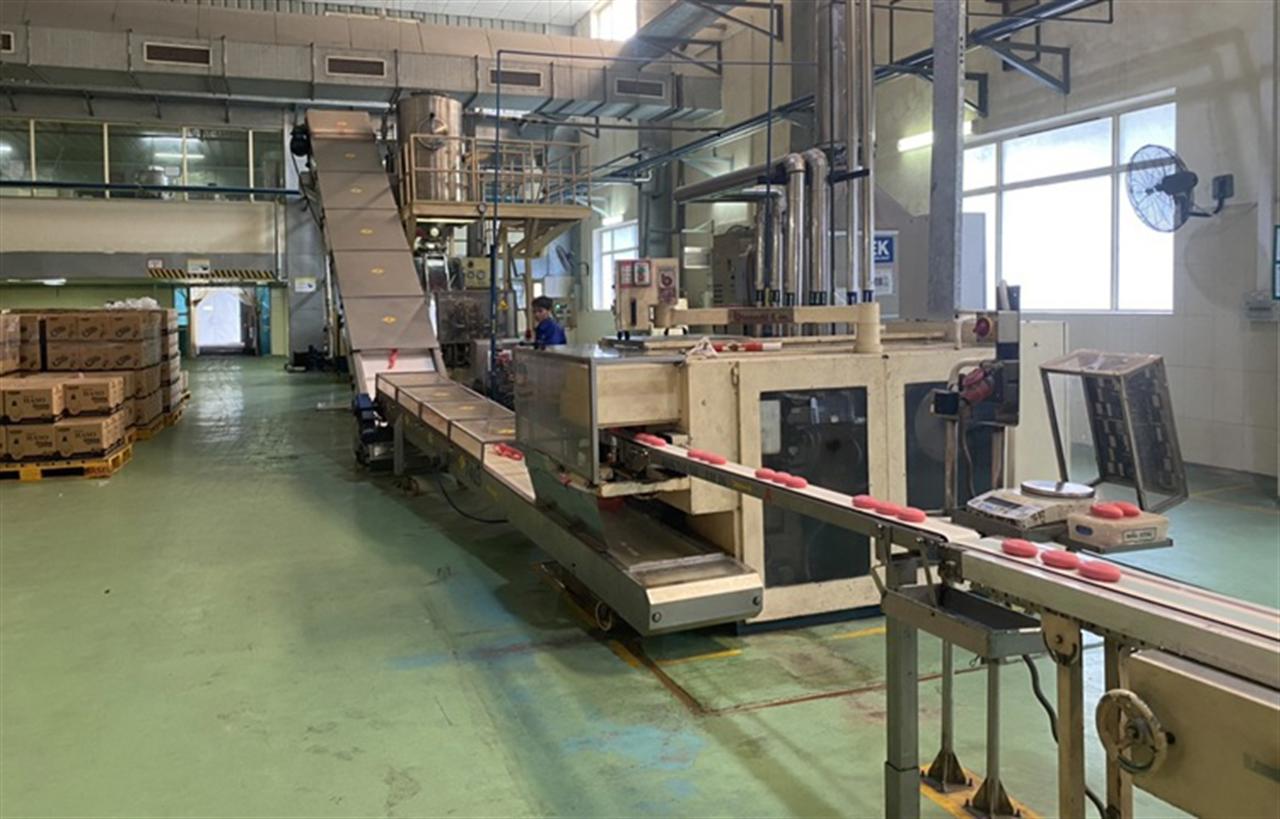 Research on the Production of a Pickleball Paddle Cleaning Solution