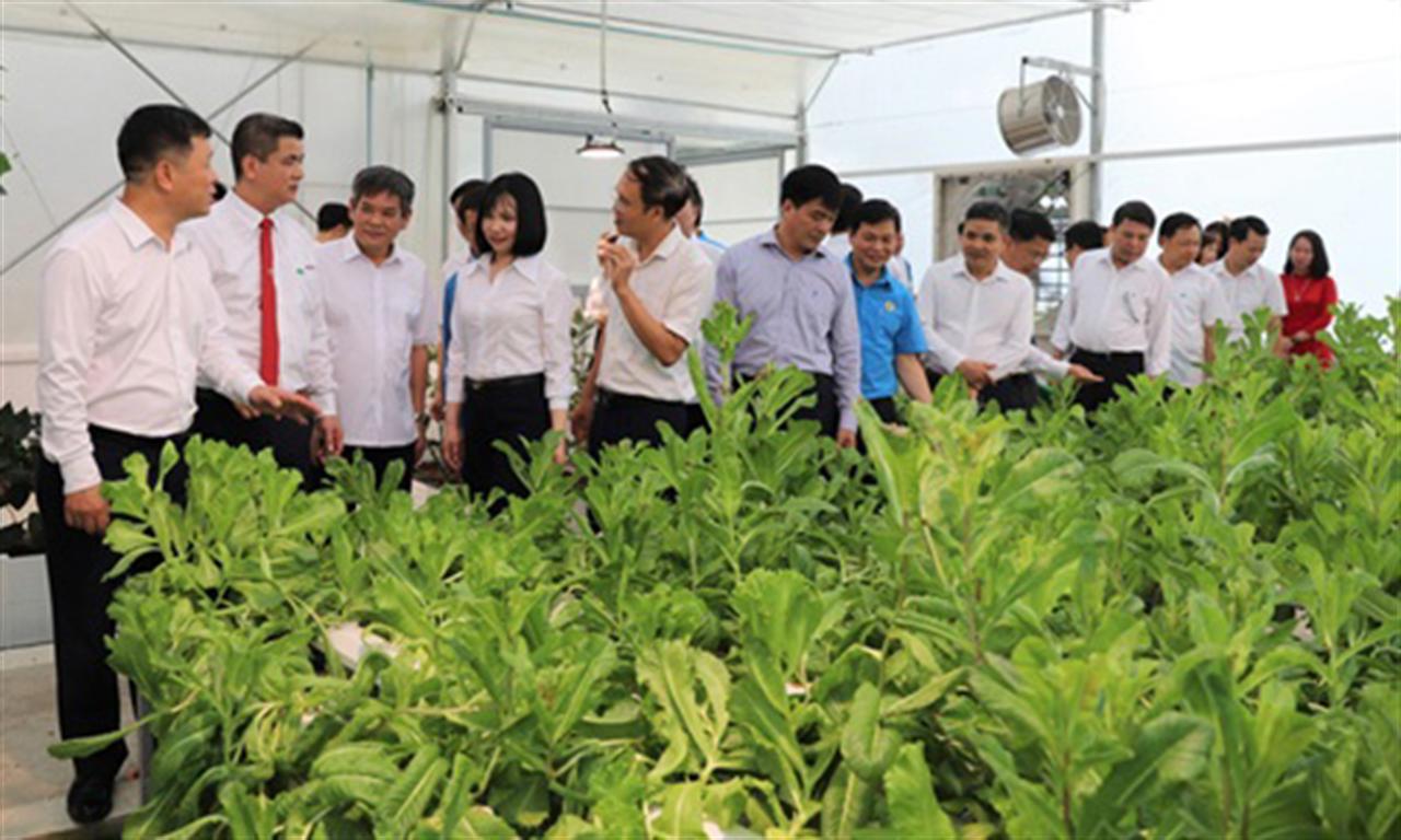 Khi Supe Lâm Thao không chỉ bán sản phẩm mà còn gói kỹ thuật kèm theo