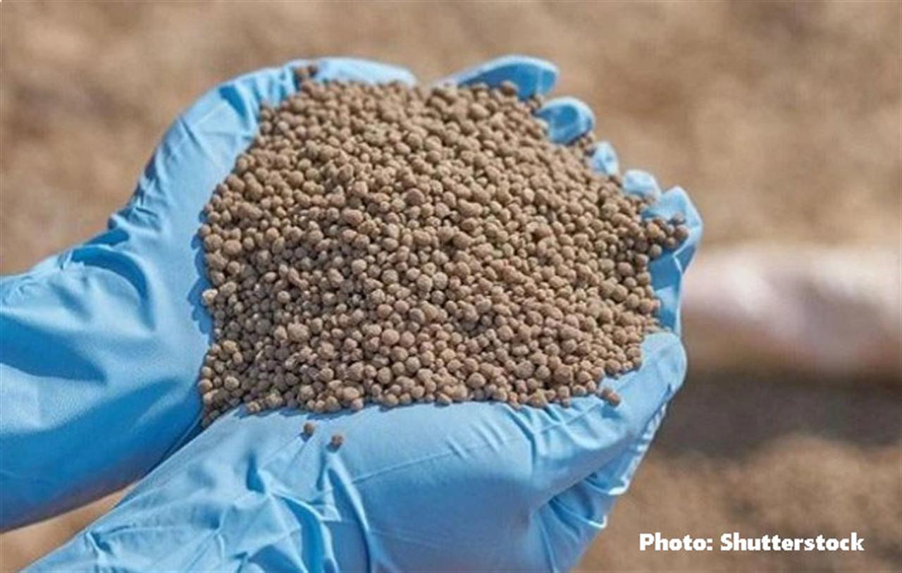 Global overview of Diammonium Phosphate (DAP) market: Production, exports, and geopolitical dynamics