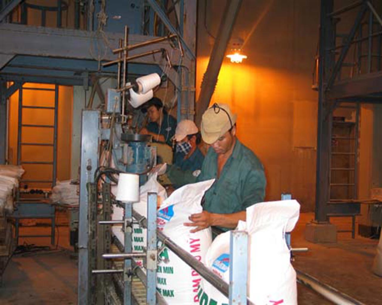 Nhập khẩu vật tư nông nghiệp nhiều: Lãng phí