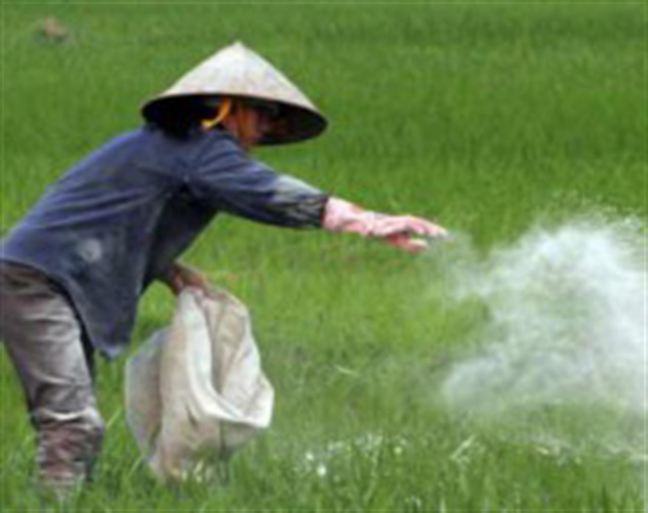 Giải pháp bình ổn thị trường phân bón