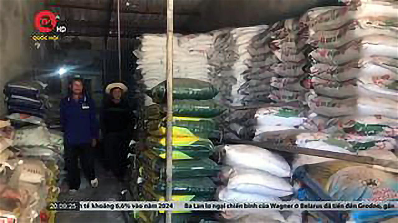 Cụm Focus: Gánh nặng chi phí phân bón