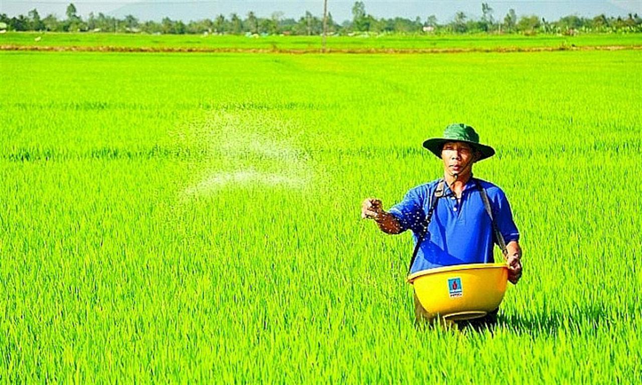 Vì sao nói áp thuế VAT phân bón 5% nông dân được thụ hưởng?
