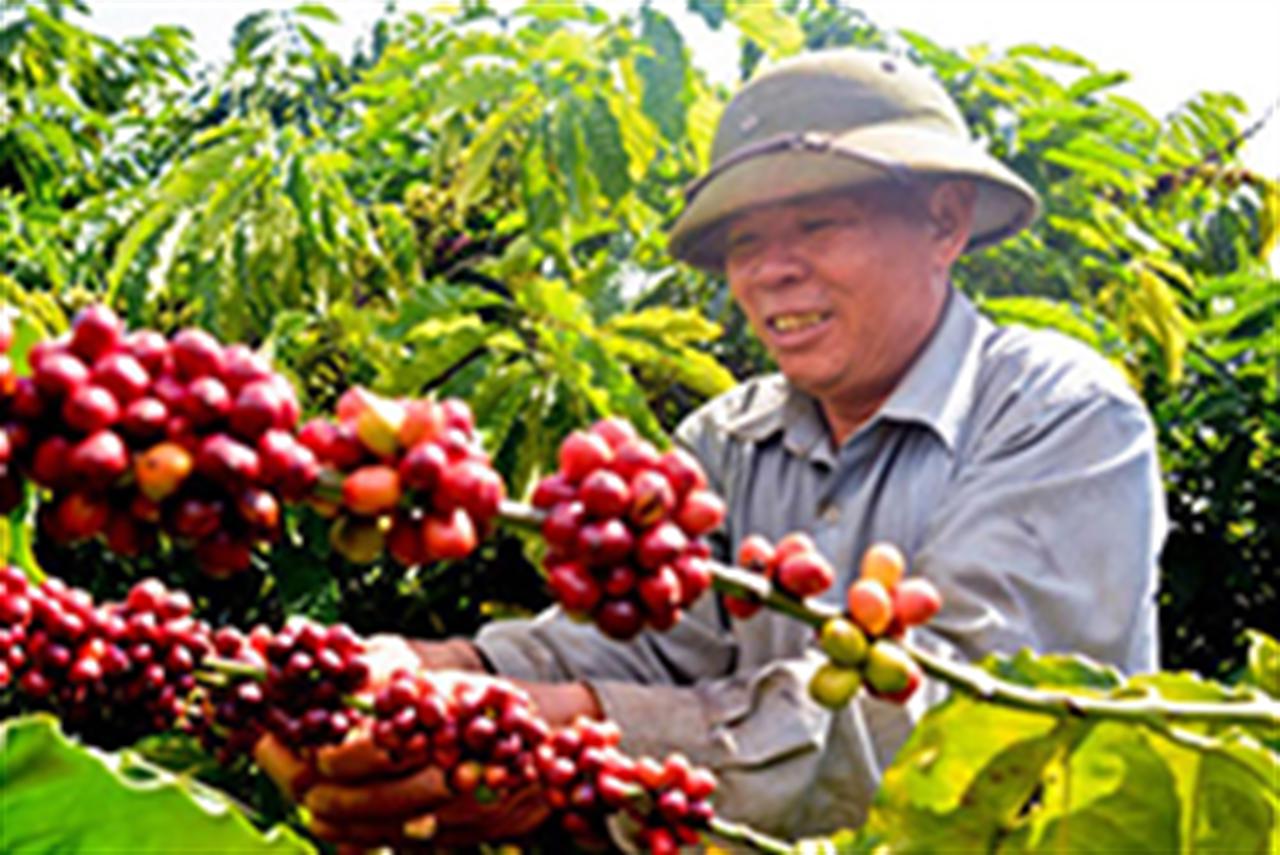 Lân Văn Điển “hợp duyên” đất Tây Nguyên