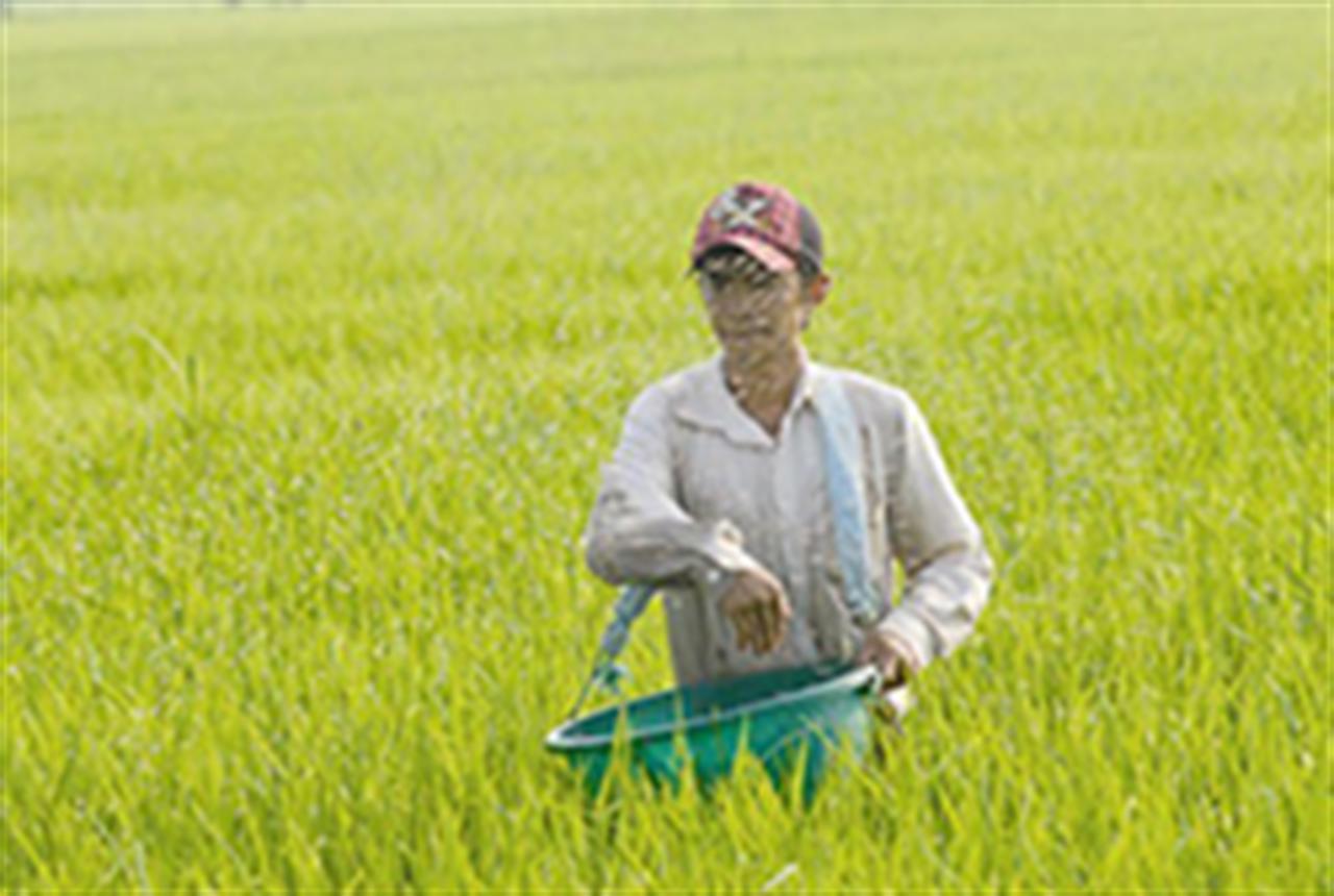 9 tháng, chi gần 1,7 tỉ đô la nhập phân bón, thuốc trừ sâu