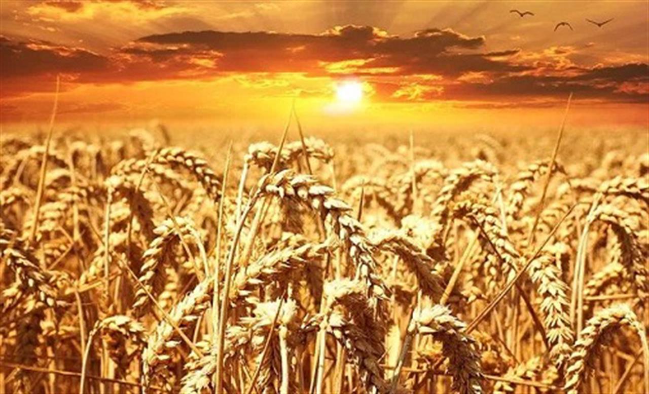 Why Food Security is a Resource Supply Chain Opportunity