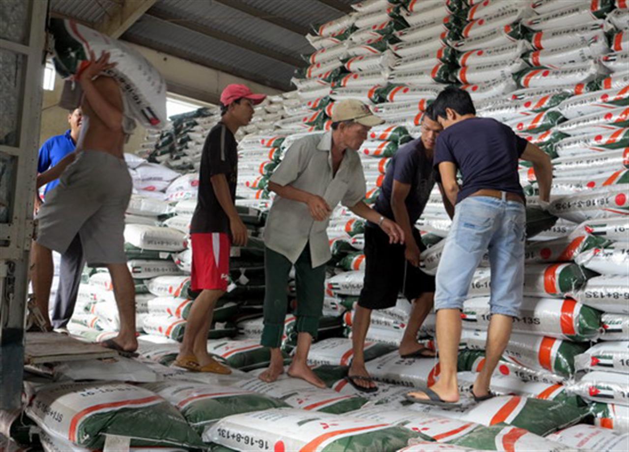 Phân bón và thuốc BVTV phục vụ sản xuất Ðông Xuân 2015-2016: Nguồn cung dồi dào, giá giảm