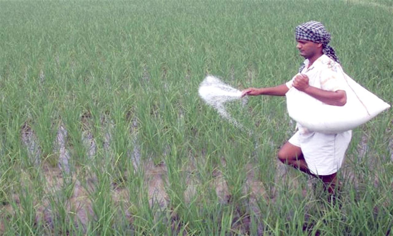 Bloomberg: Trung Quốc yêu cầu các nhà sản xuất phân bón tạm dừng xuất khẩu ure