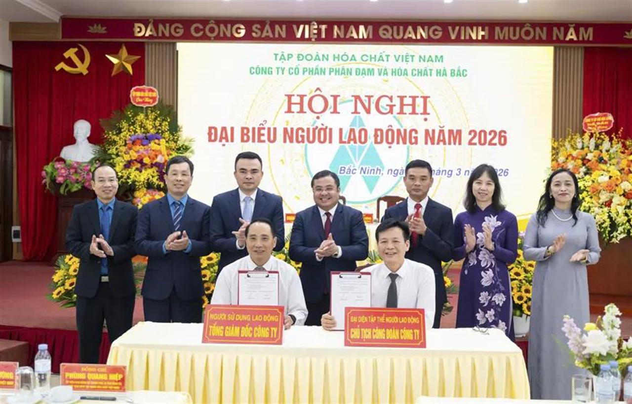 Đạm Hà Bắc: Củng cố nền tảng, nâng cao năng lực quản trị, hướng tới tăng trưởng bền vững