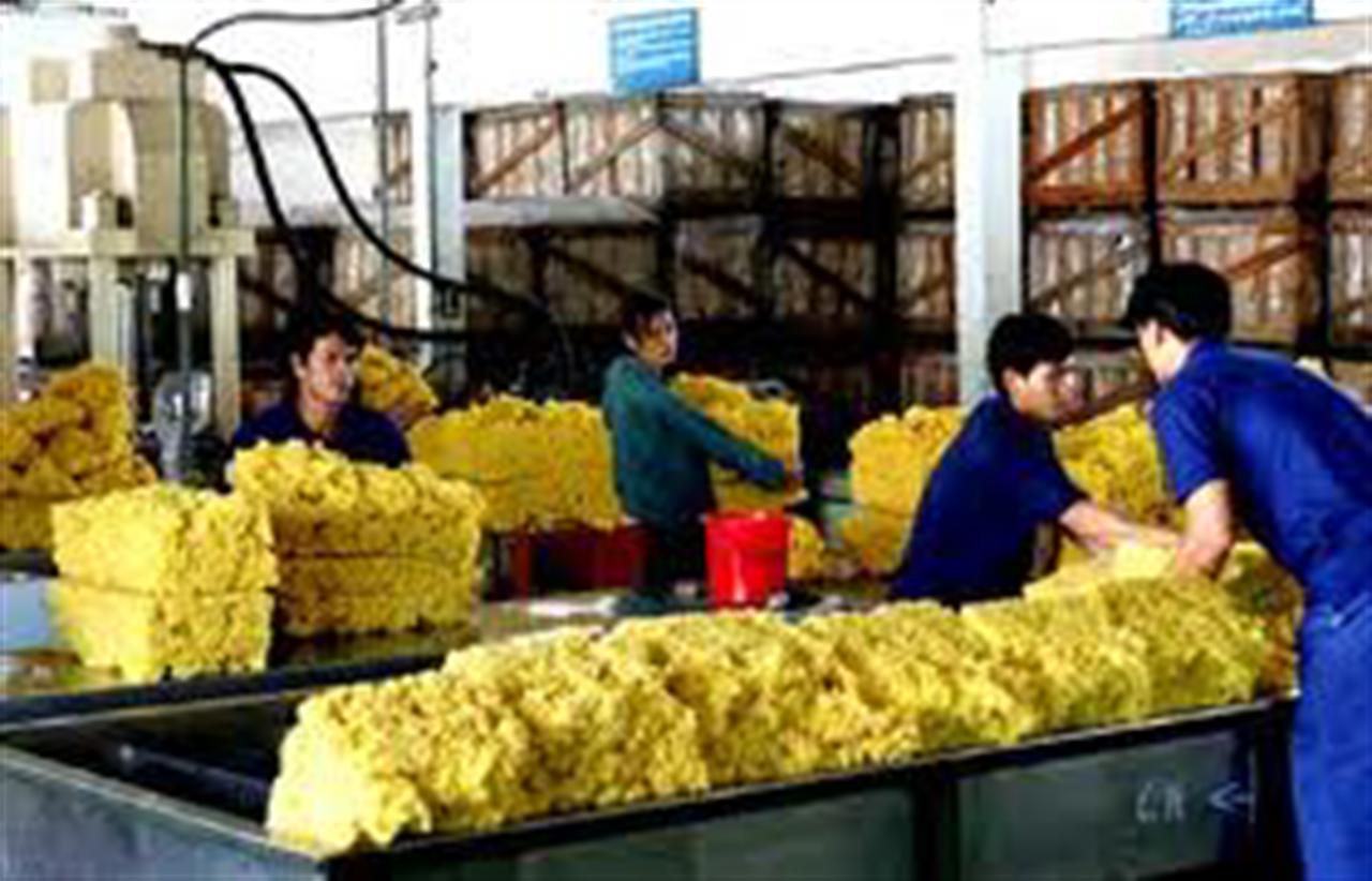 Giá cao su Tocom tăng phiên thứ 2 do yên giảm so với USD