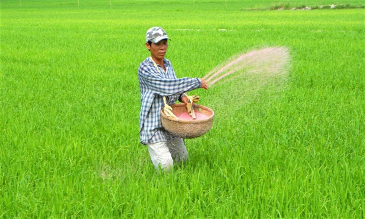 Nguồn cung ngày càng hạn chế, giá phân bón năm 2024 có thể tăng nhẹ