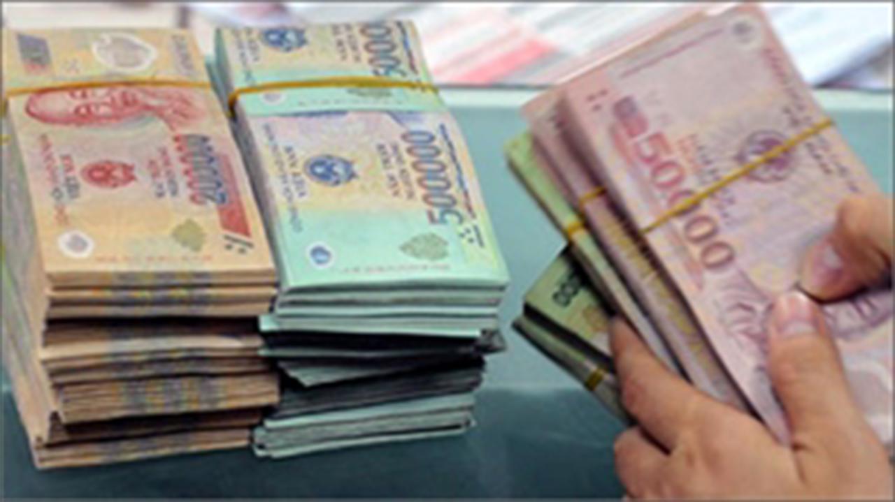 Vietnam dong will be stabilized in 2012: HSBC