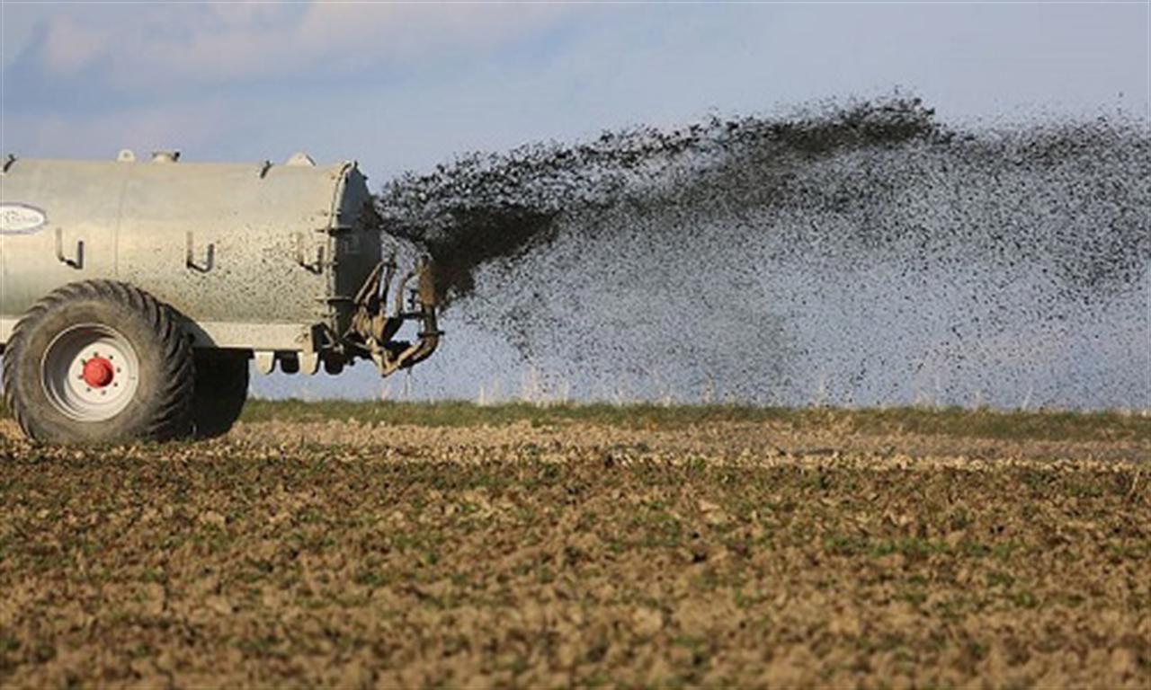 Zinc-copper catalyst proposed for cleaner, more efficient fertilizer production