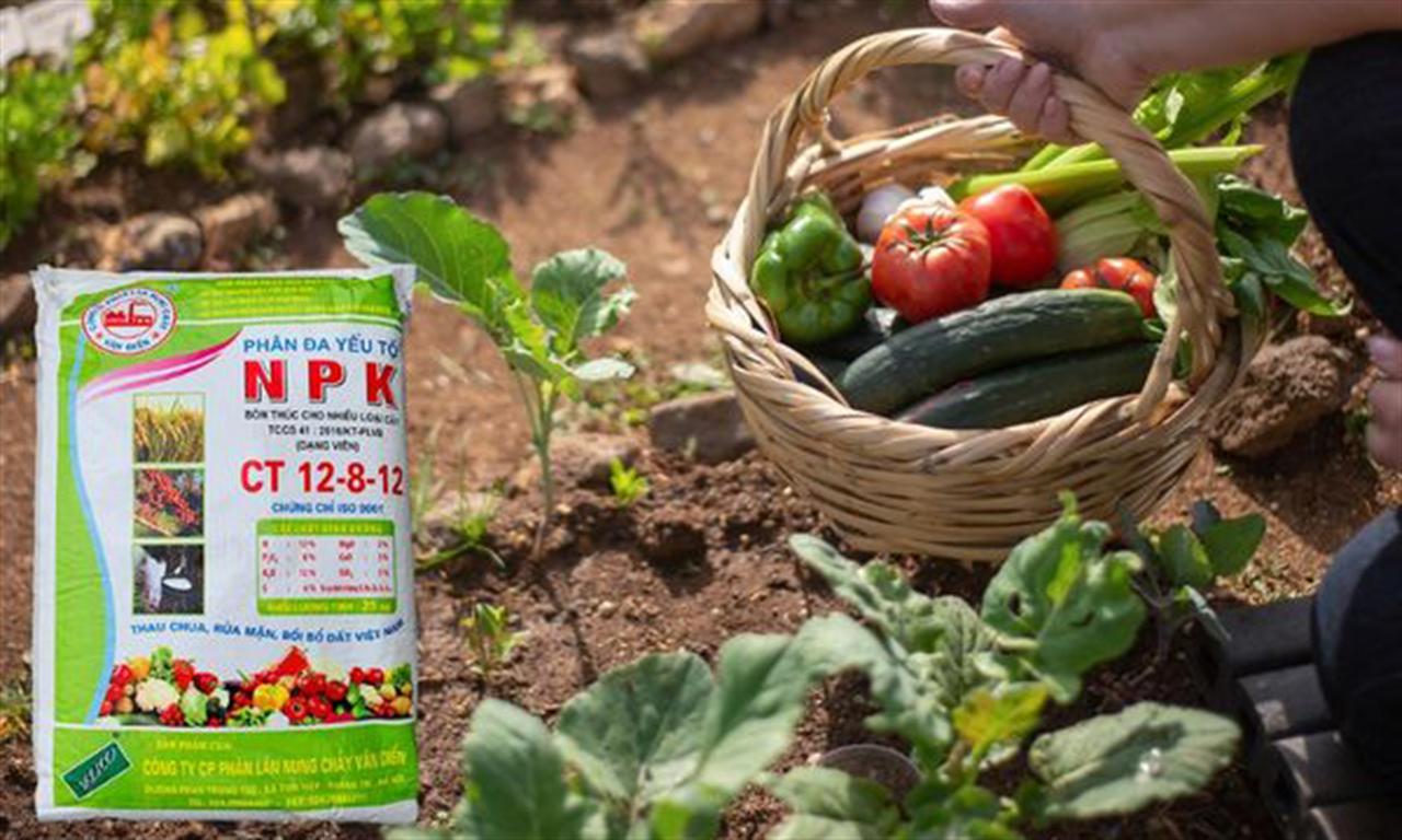 Phân bón văn Điển: Vững thương hiệu "phân bón nội, chất lượng quốc tế”