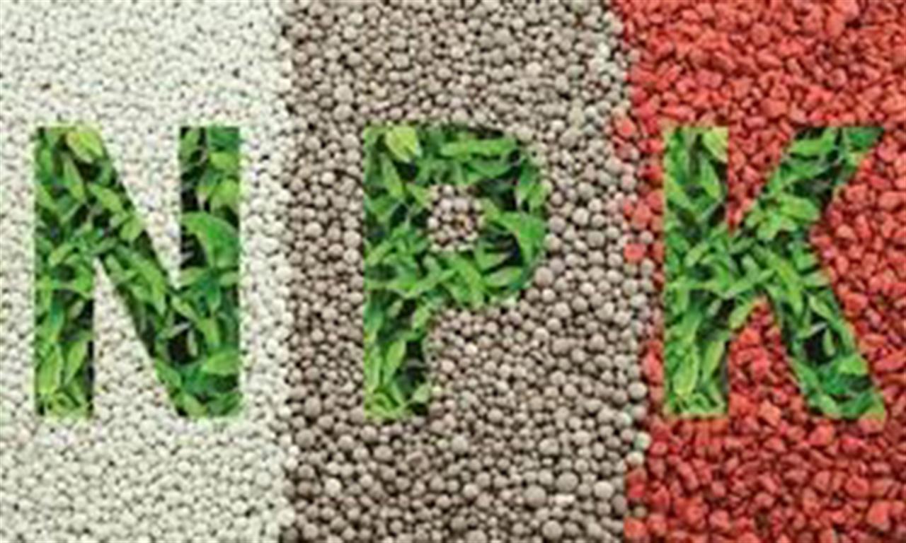 Nhập khẩu phân bón 10 tháng đầu năm 2024 tăng từ hầu hết các thị trường