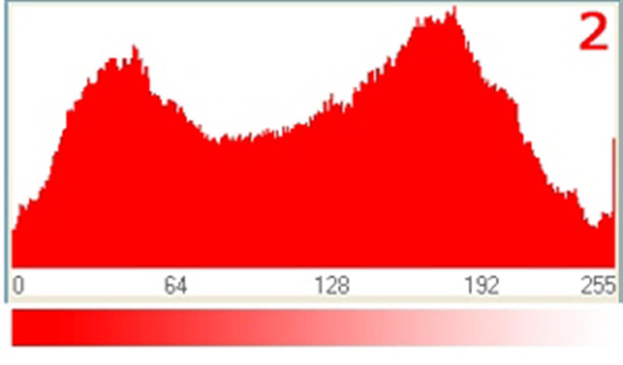 BASF Expects Record Year in 2010