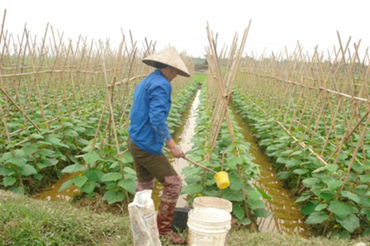 Nhập khẩu phân bón giảm 13,6% về lượng trong 6 tháng đầu năm 2014