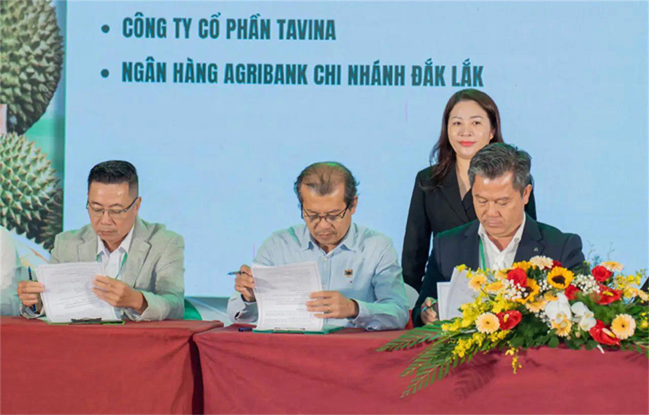 Binh Dien – Principal Sponsor of the “Sustainable Durian Ecosystem” Forum