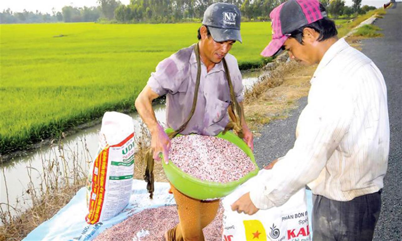 Bộ Tài chính sẽ “nghiên cứu lại” đề xuất áp chung thuế xuất khẩu 5% với phân bón