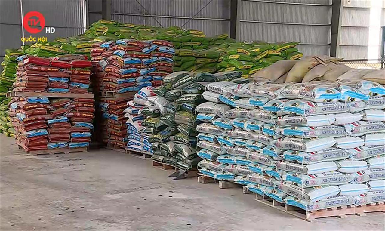 Sửa đổi Luật Thuế 71 giúp nông dân tránh thiệt hại kép