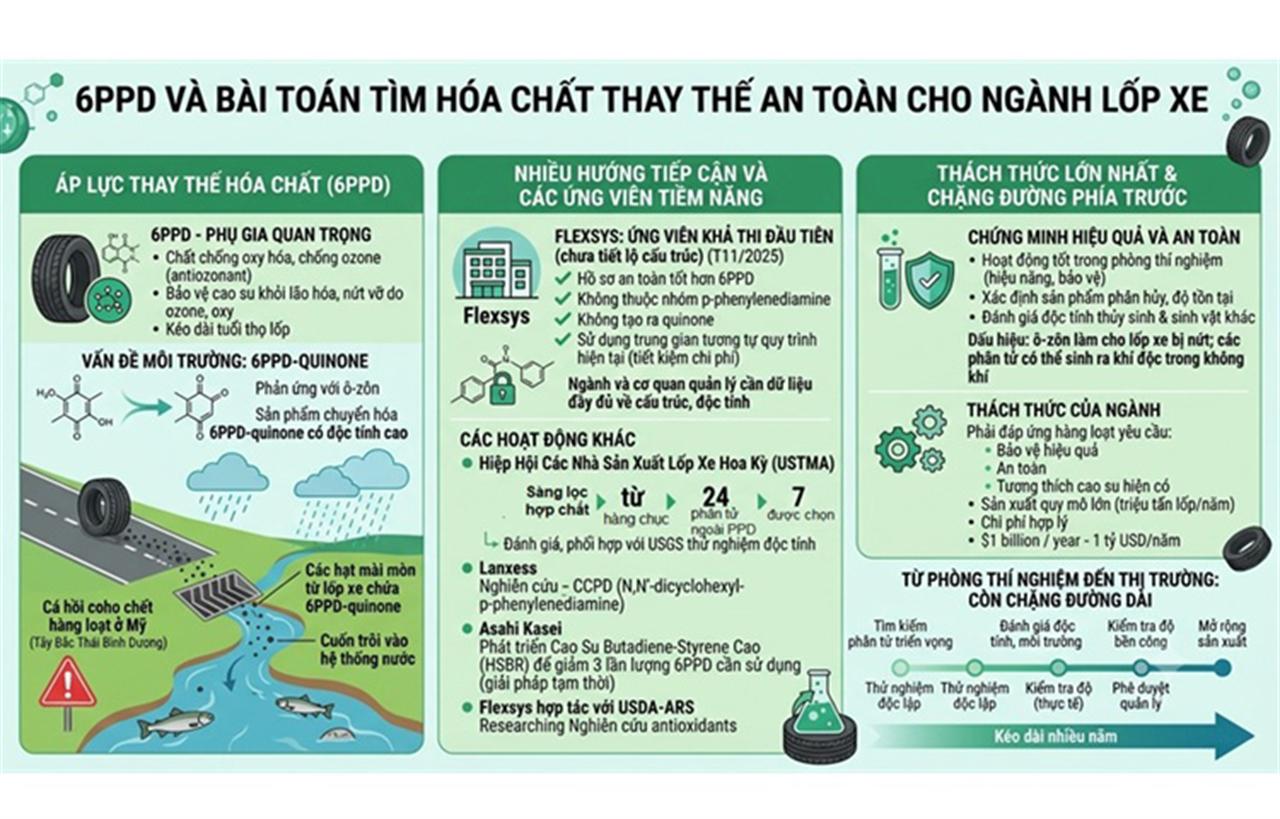6PPD và bài toán tìm hóa chất thay thế an toàn cho ngành lốp xe
