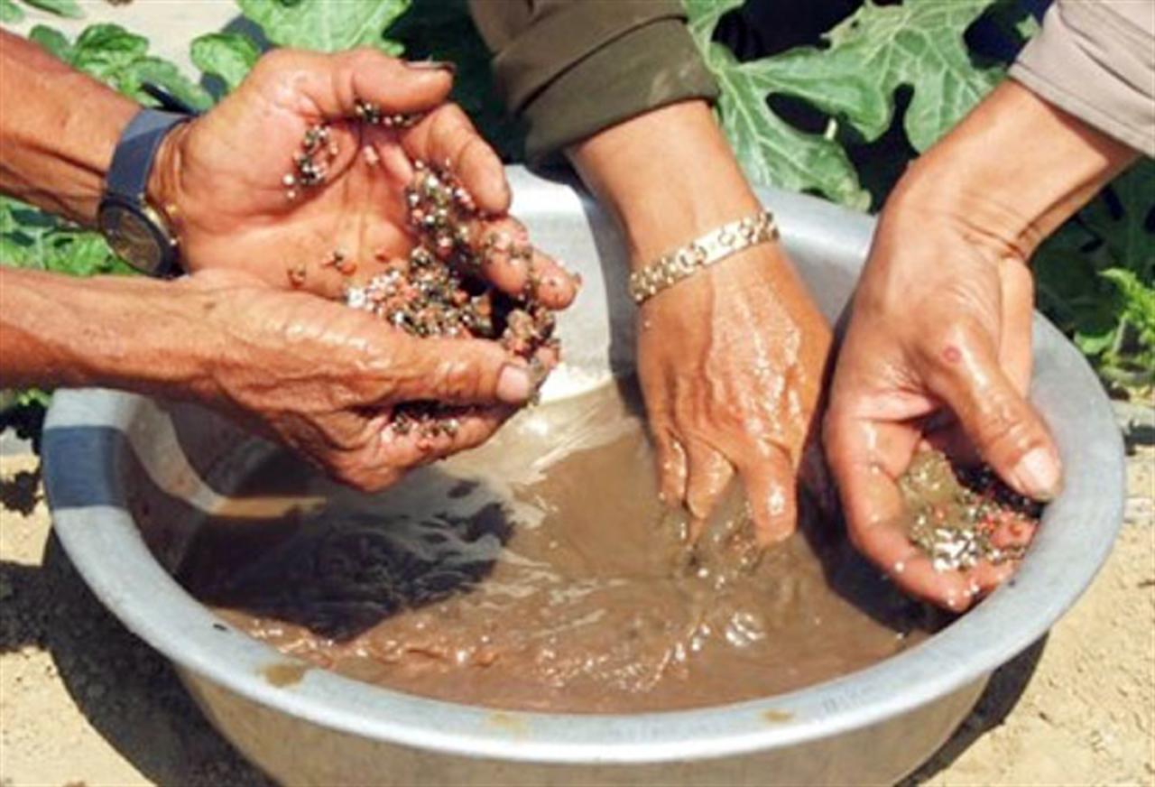 Tây Nguyên: Lật tẩy nhiều cơ sở sản xuất phân bón giả