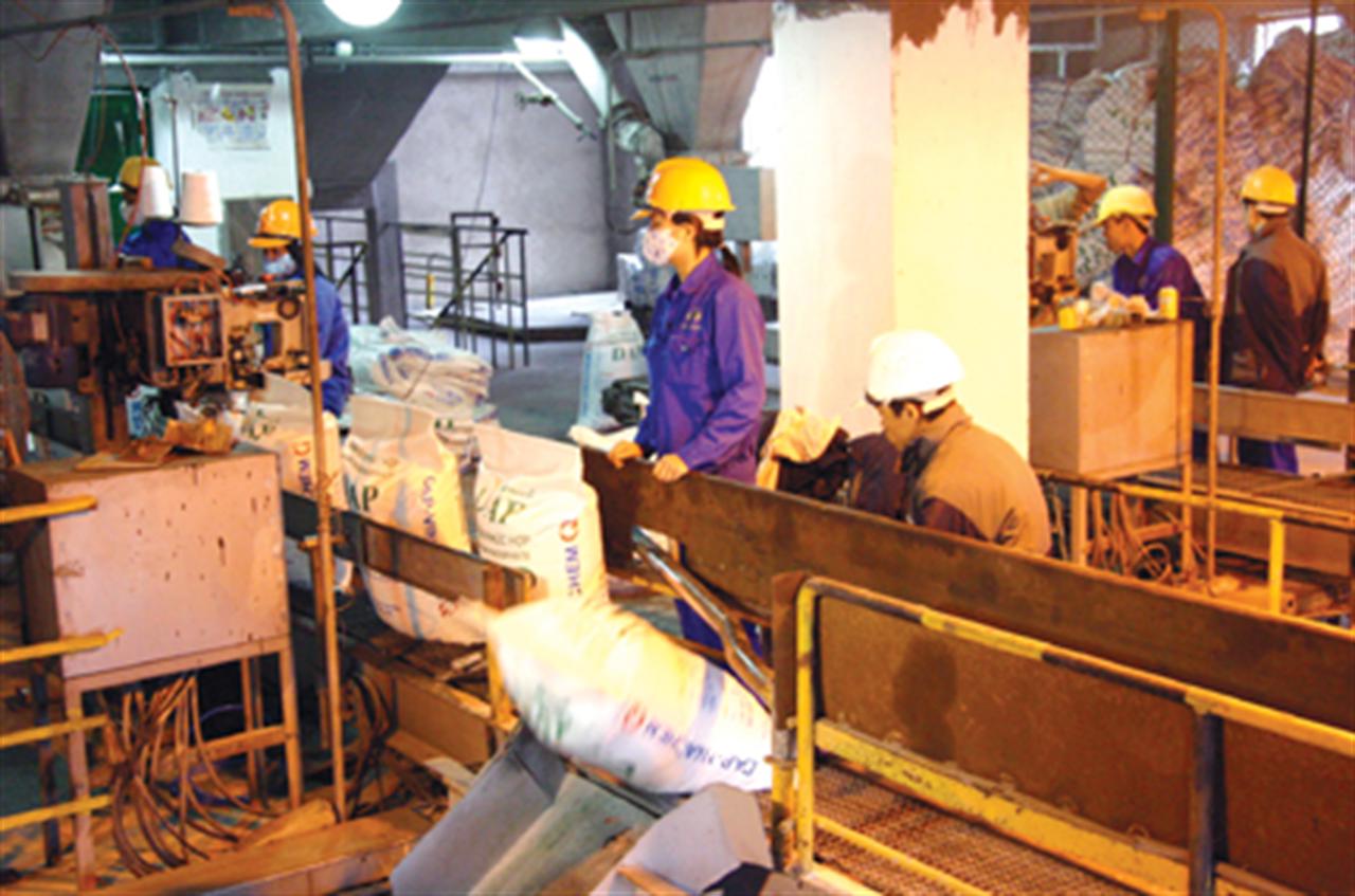 Tổng quan thị trường phân bón trong nước năm 2012