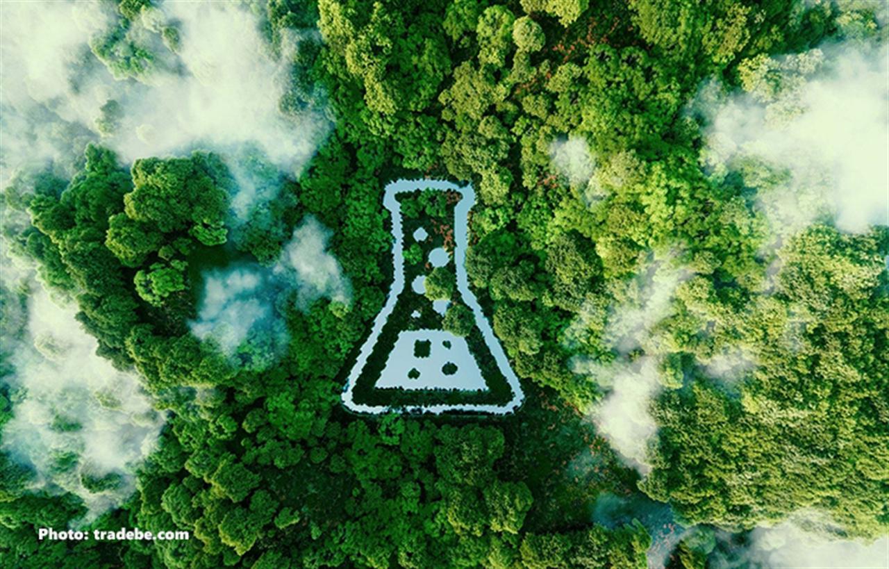 Sustainable Chemicals: High Hopes, Slow Progress