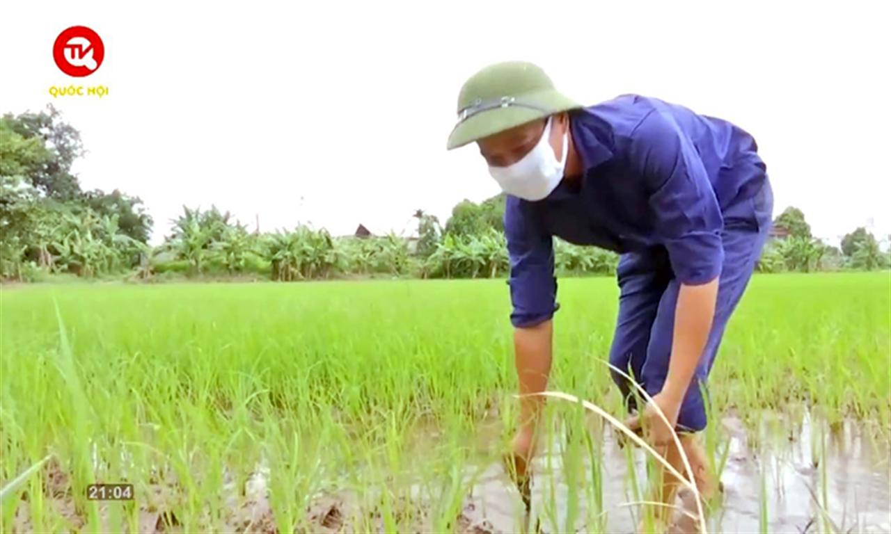 Tiếng nói cử tri số 43: Bất cập trong Luật thuế 71 khiến người dân và doanh nghiệp điêu đứng