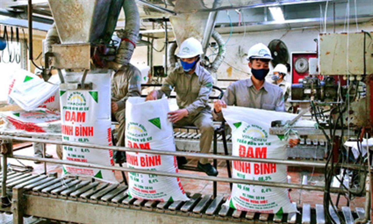 Giá phân Ure Việt Nam có tăng 'nóng' theo lệnh cấm xuất khẩu của Trung Quốc?