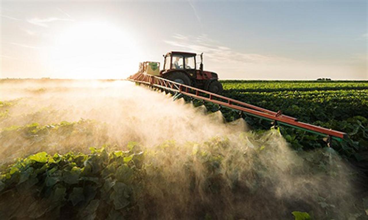 Xuất khẩu phân đạm của Mỹ tăng mạnh trong khi châu Âu cắt giảm sản xuất