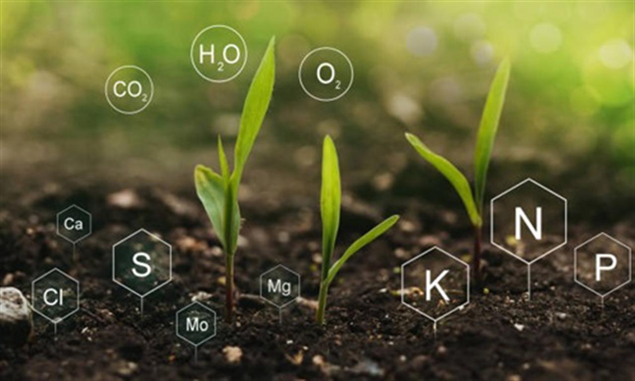 US CF Industries projects global nitrogen balance will remain constructive in the near-term