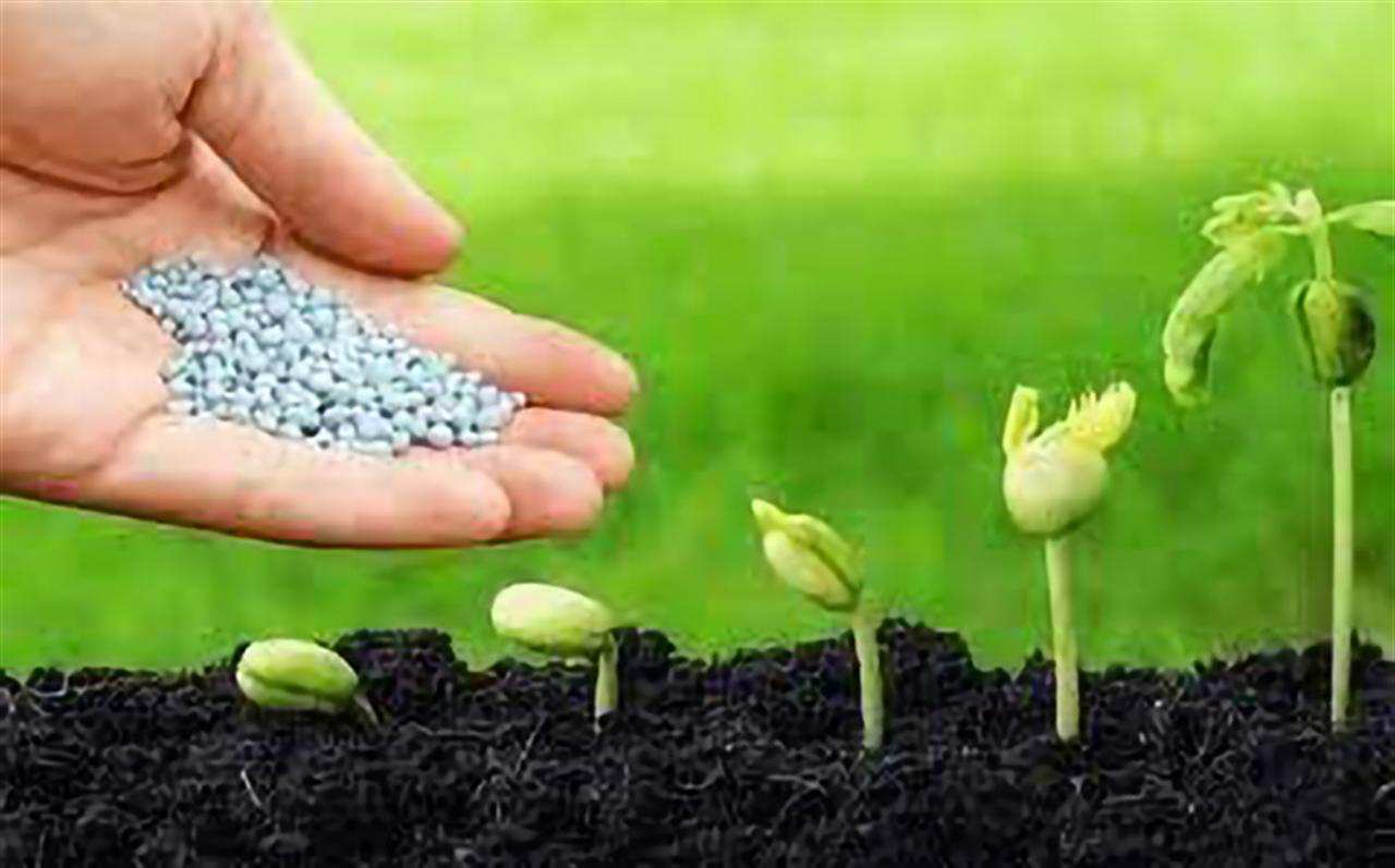 Thị trường xuất khẩu phân bón 5 tháng đầu năm 2023