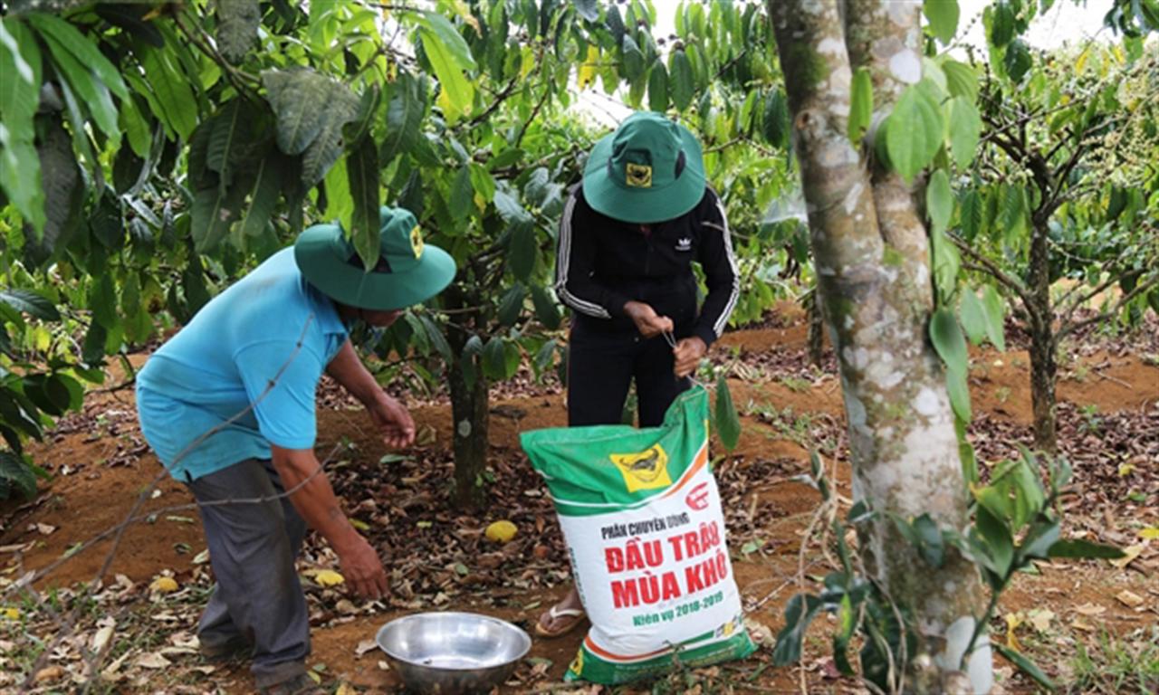 Cấp thiết đưa thuế GTGT phân bón về mức 5%