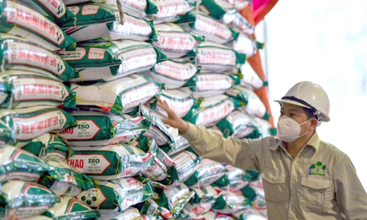 Hóa chất Lâm Thao (LAS) ước đạt 2.990 tỷ đồng doanh thu, hoàn thành 92% kế hoạch năm