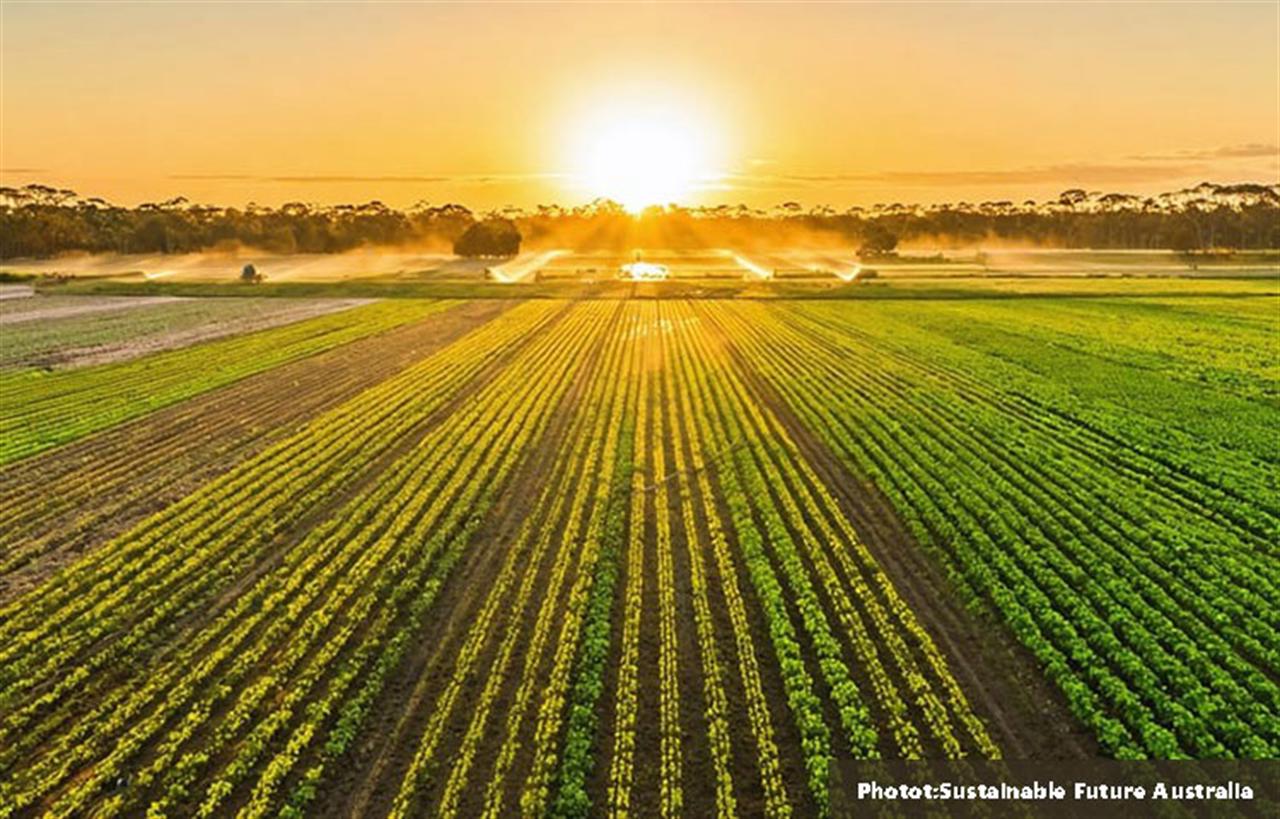 Australia Establishes Fertilizer Coordination Body, Seeks New Urea Supply Sources