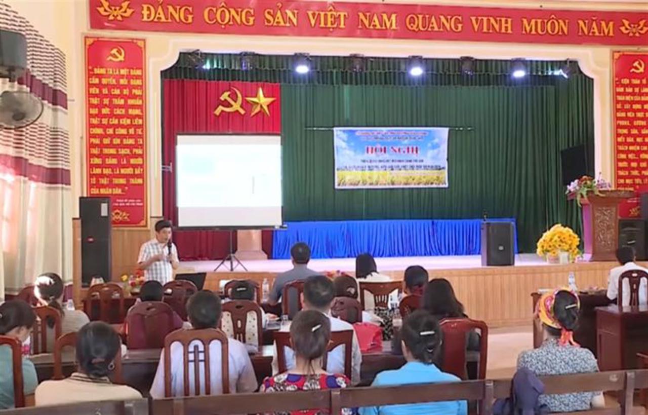 DAP - Vinachem đồng hành cùng mô hình canh tác lúa giảm phát thải tại Hải Phòng