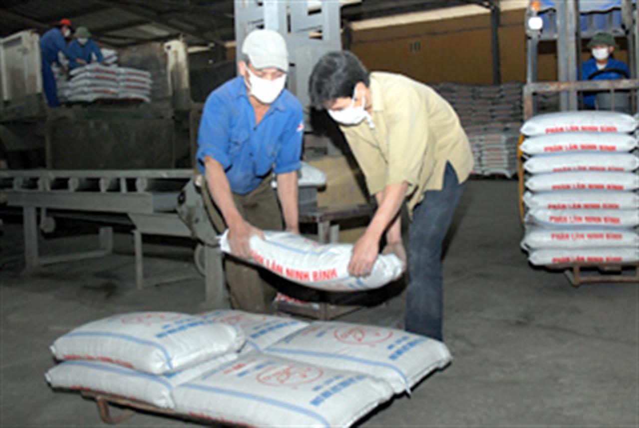 Giá phân lân chững lại tại hầu hết các địa phương trong tuần qua.