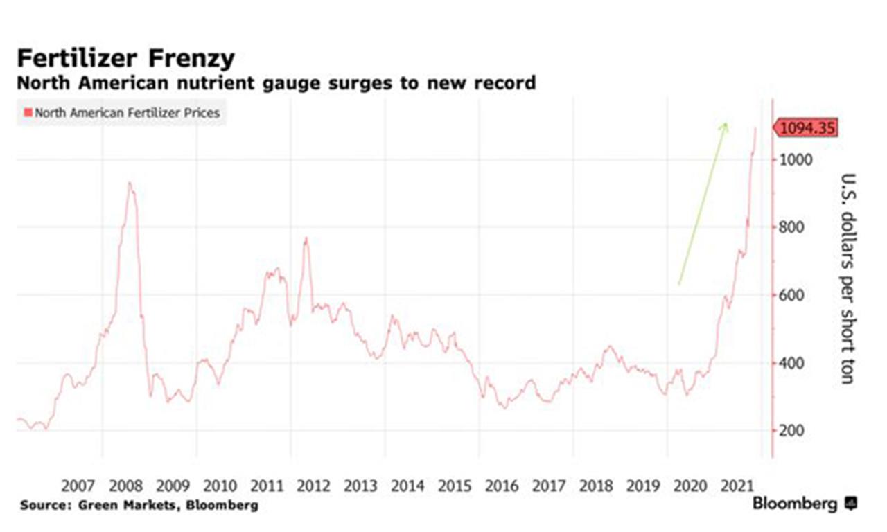 Giá phân bón tại Mỹ tăng hơn 4% lên sát mốc 1,100 USD mỗi tấn 01:51' PM - Thứ hai, 15/11/2021