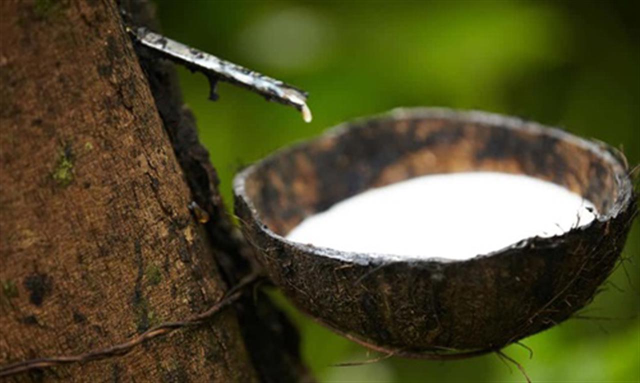 Rubber prices escalate robustly, hitting record highs