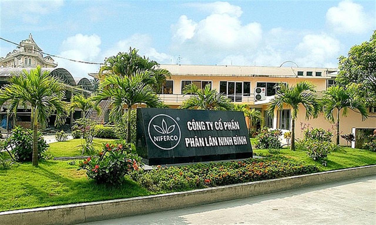 NFC hoàn thành 73% mục tiêu lợi nhuận cả năm chỉ trong quý I/2022