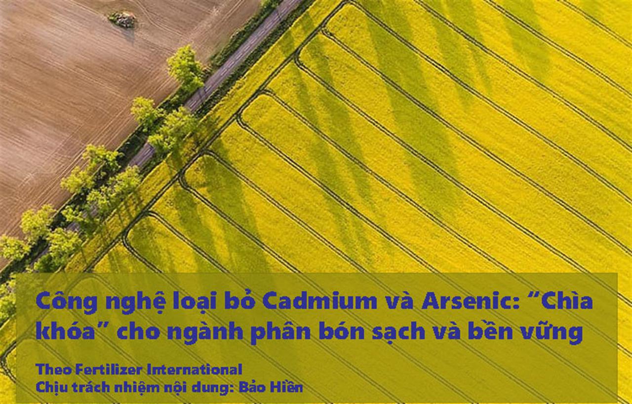 Công nghệ loại bỏ Cadmium và Arsenic: “Chìa khóa” cho ngành phân bón sạch và bền vững