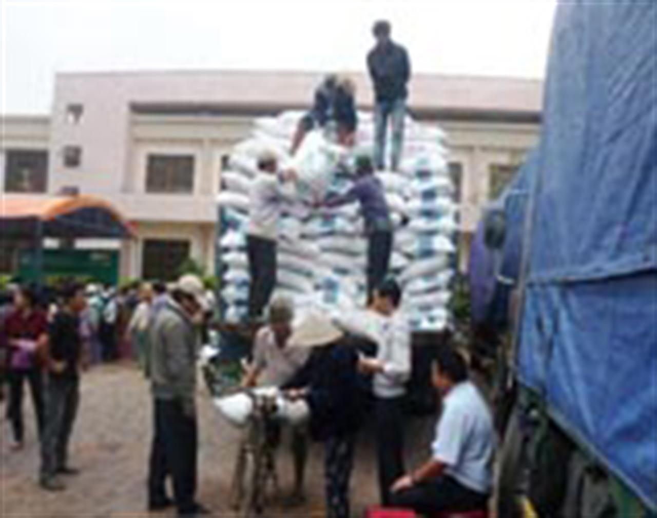 Thị trường phân bón trong nước đến ngày 03/08/2012