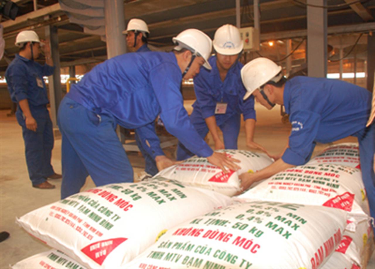 Tăng lượng phân urê ra thị trường để hạ sốt