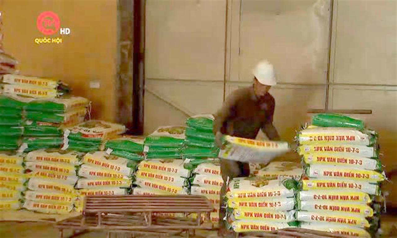 Góc nhìn hôm nay: Nghịch lý vật nài xin chịu thuế