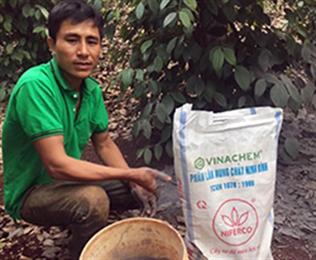 Bón phân lân nung chảy, NPK Ninh Bình cho hồ tiêu kinh doanh