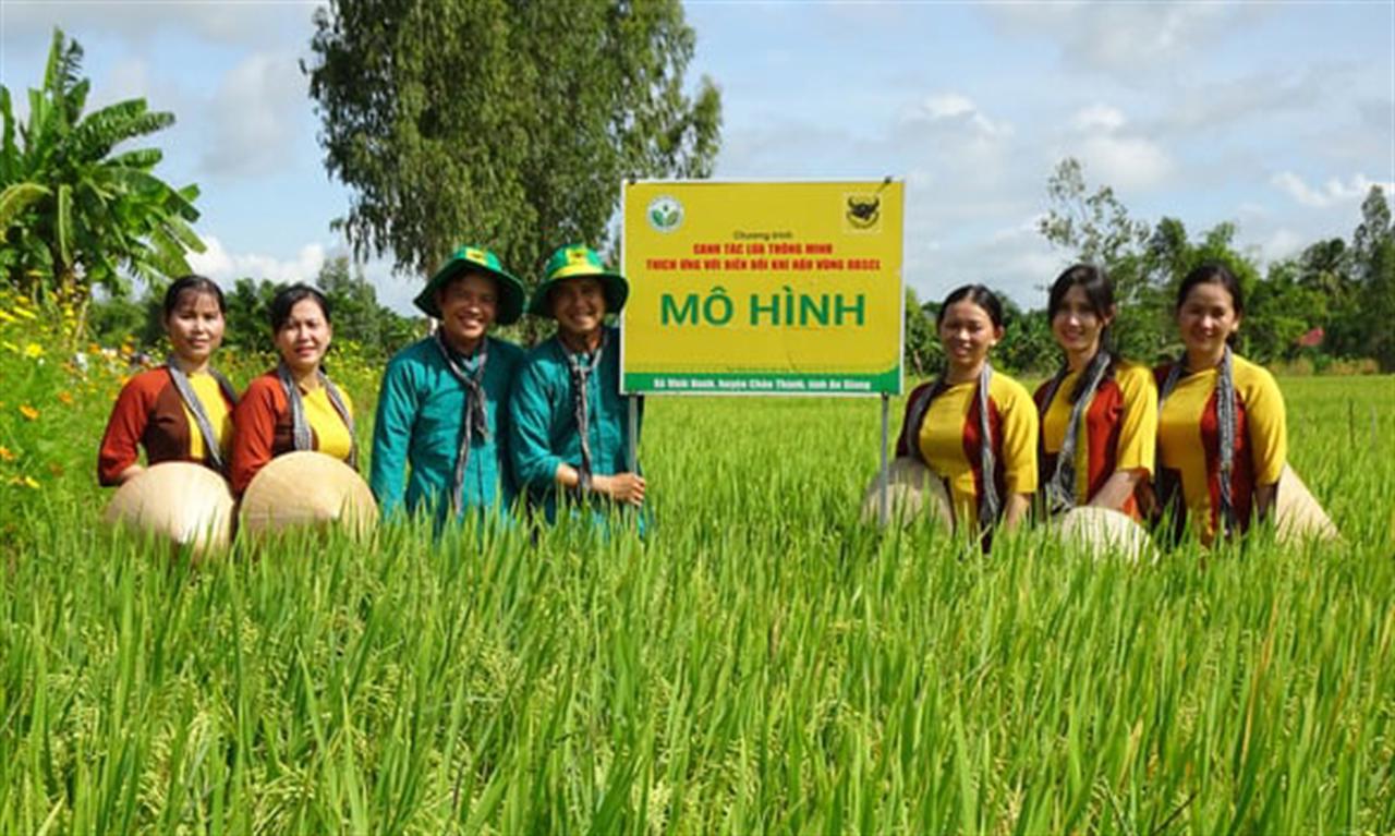 Phân bón Bình Điền tập trung sản xuất sản phẩm hàm lượng dinh dưỡng cao