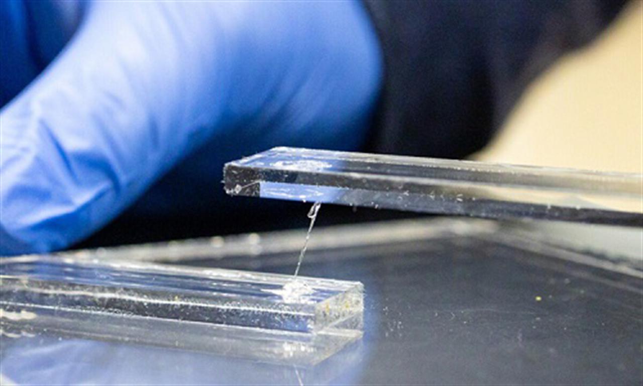 Thị trường các chất kết dính và chất bịt kín toàn cầu