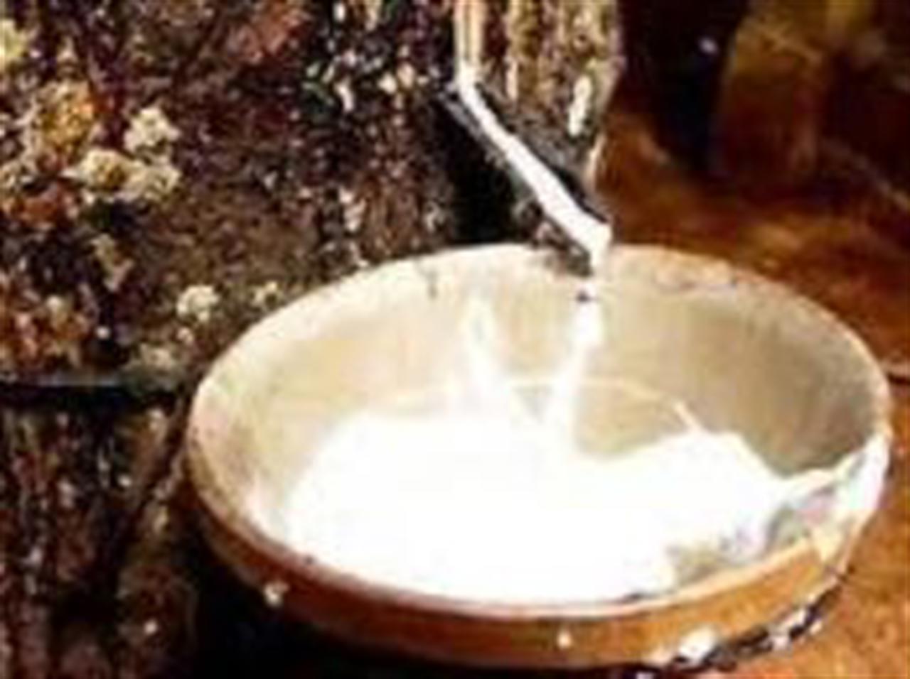 Giá cao su tiếp tục tăng mạnh nhờ dầu thô