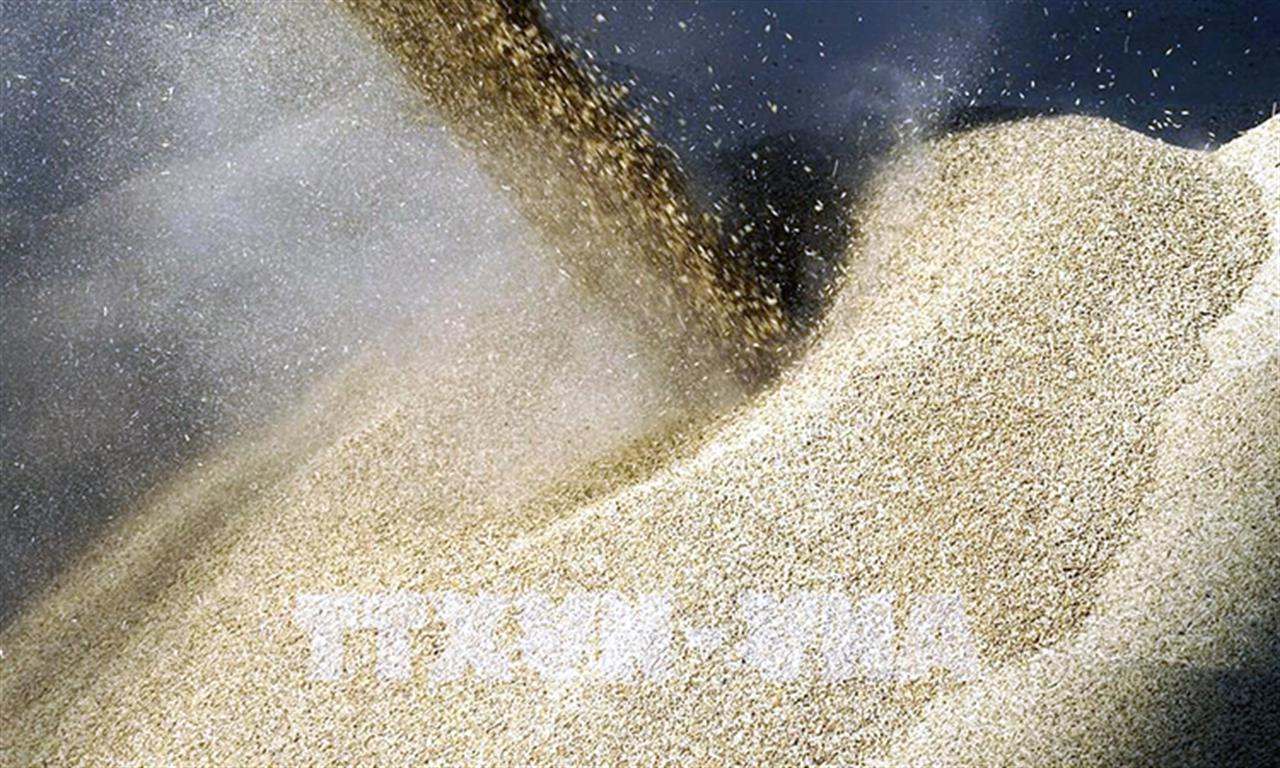 Mỹ đã đưa nông sản và phân bón của Nga khỏi các biện pháp trừng phạt